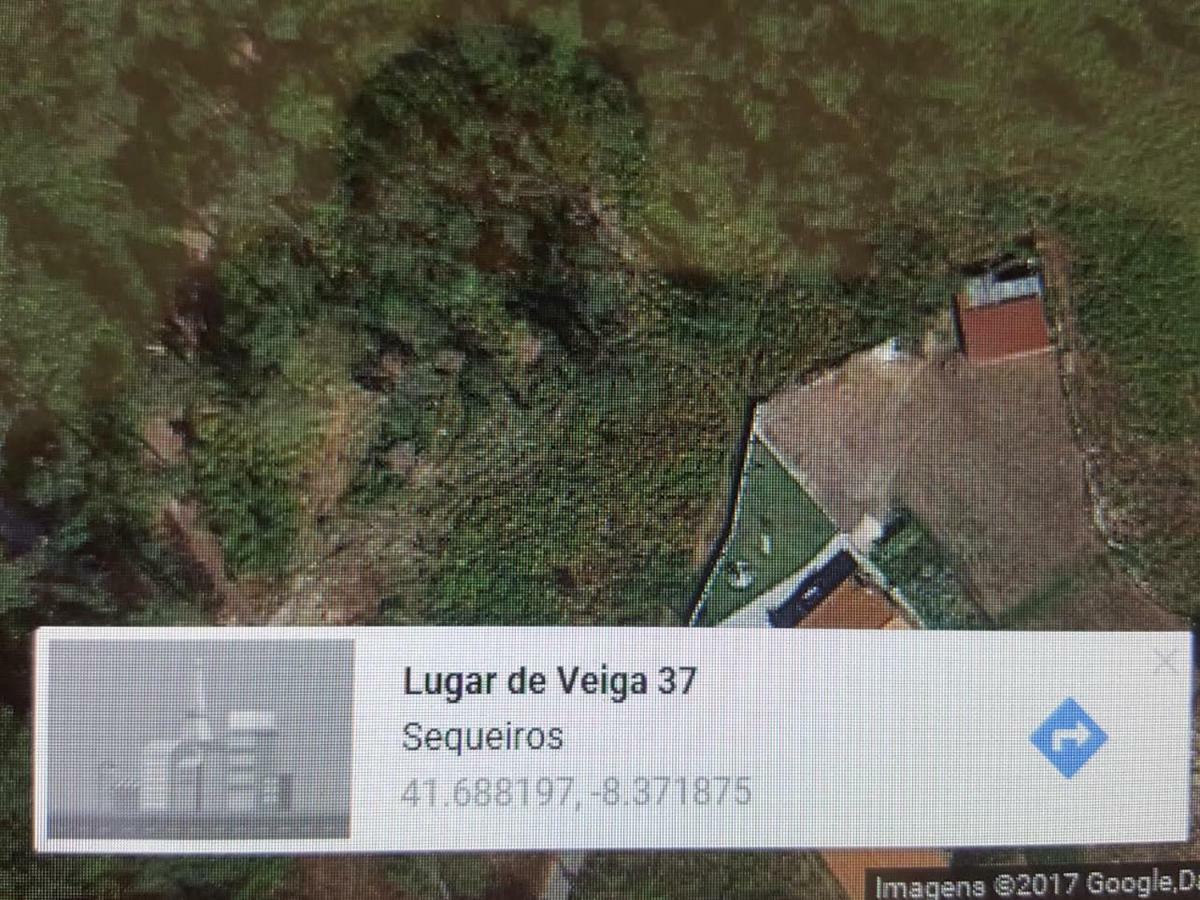 Quinta Do Rio Homem Caldelas Exterior photo